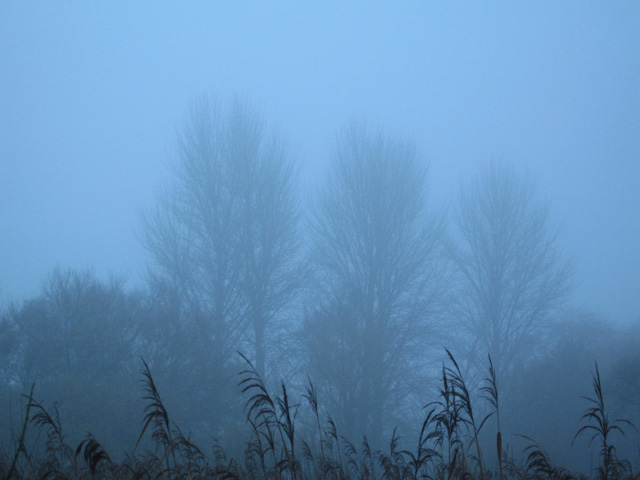 December morning in the moors